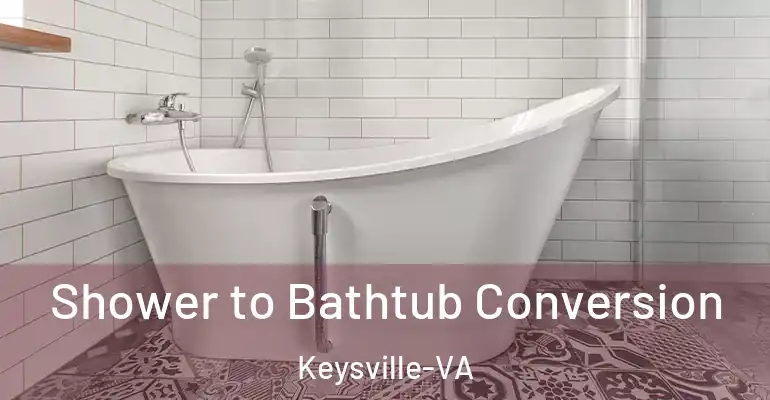 inner Bathroom imggen Shower to Bathtub Conversion Keysville-VA