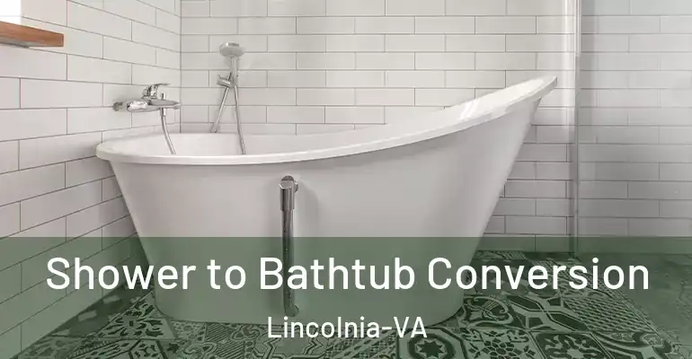 inner Bathroom imggen Shower to Bathtub Conversion Lincolnia-VA