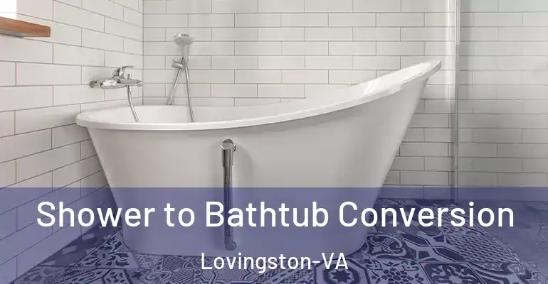 inner Bathroom imggen Shower to Bathtub Conversion Lovingston-VA
