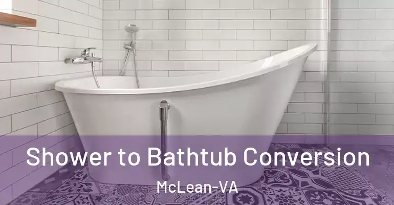 inner Bathroom imggen Shower to Bathtub Conversion McLean-VA