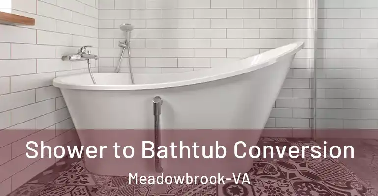 inner Bathroom imggen Shower to Bathtub Conversion Meadowbrook-VA