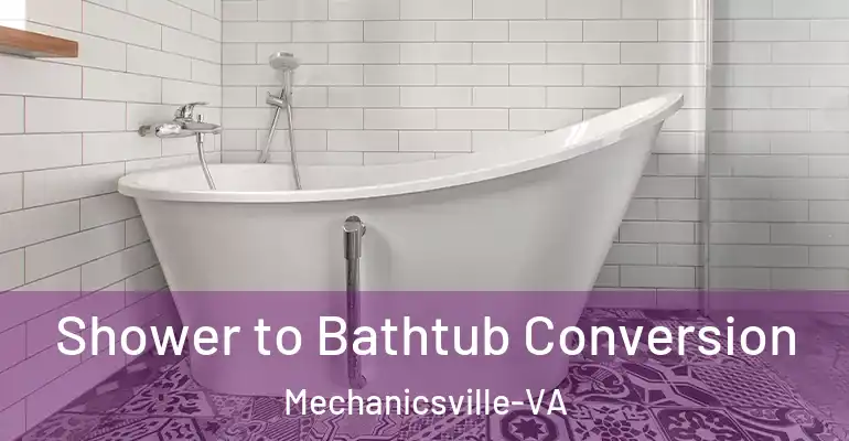 inner Bathroom imggen Shower to Bathtub Conversion Mechanicsville-VA