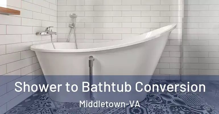 inner Bathroom imggen Shower to Bathtub Conversion Middletown-VA