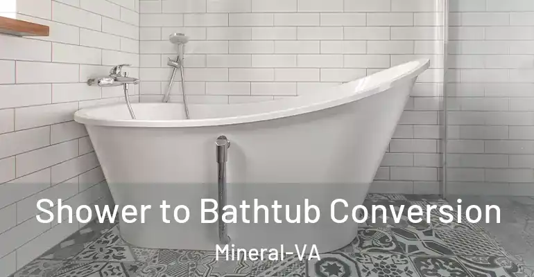 inner Bathroom imggen Shower to Bathtub Conversion Mineral-VA