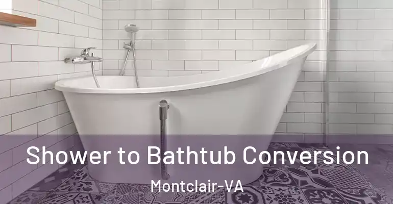 inner Bathroom imggen Shower to Bathtub Conversion Montclair-VA