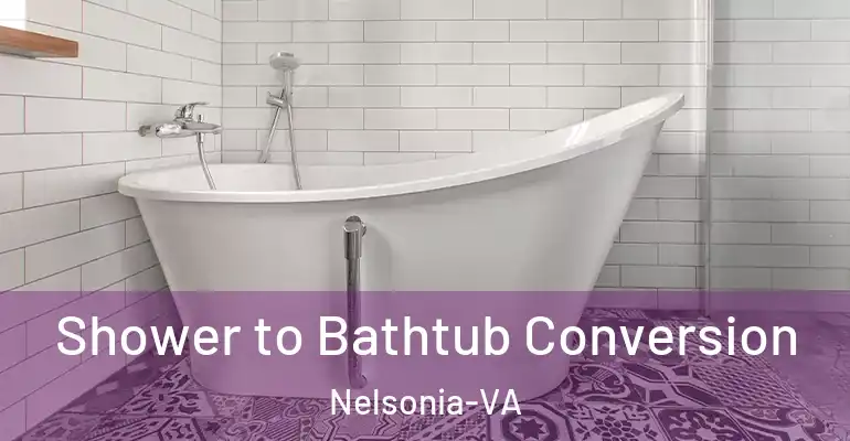 inner Bathroom imggen Shower to Bathtub Conversion Nelsonia-VA