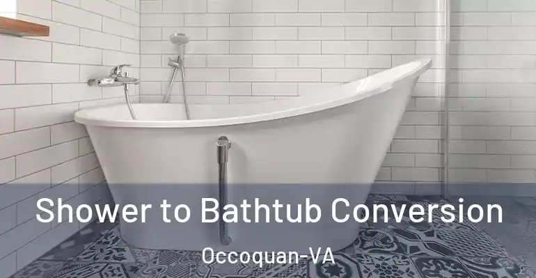 inner Bathroom imggen Shower to Bathtub Conversion Occoquan-VA