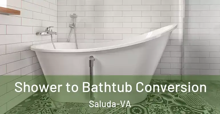 inner Bathroom imggen Shower to Bathtub Conversion Saluda-VA