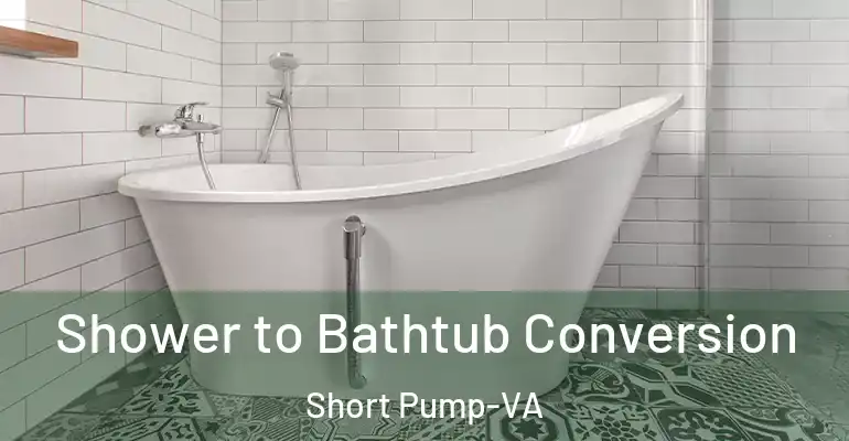 inner Bathroom imggen Shower to Bathtub Conversion Short Pump-VA
