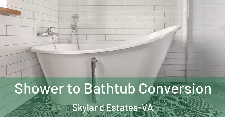 inner Bathroom imggen Shower to Bathtub Conversion Skyland Estates-VA