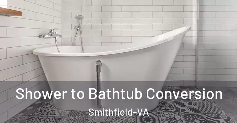 inner Bathroom imggen Shower to Bathtub Conversion Smithfield-VA
