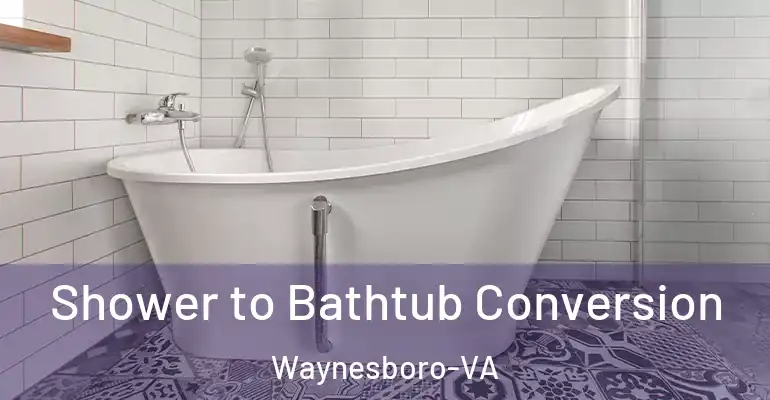 inner Bathroom imggen Shower to Bathtub Conversion Waynesboro-VA