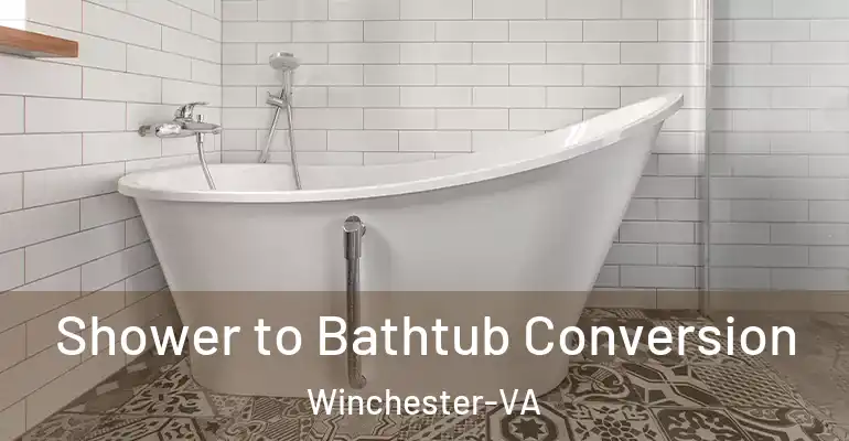 inner Bathroom imggen Shower to Bathtub Conversion Winchester-VA