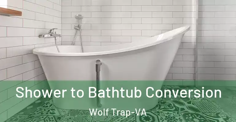 inner Bathroom imggen Shower to Bathtub Conversion Wolf Trap-VA