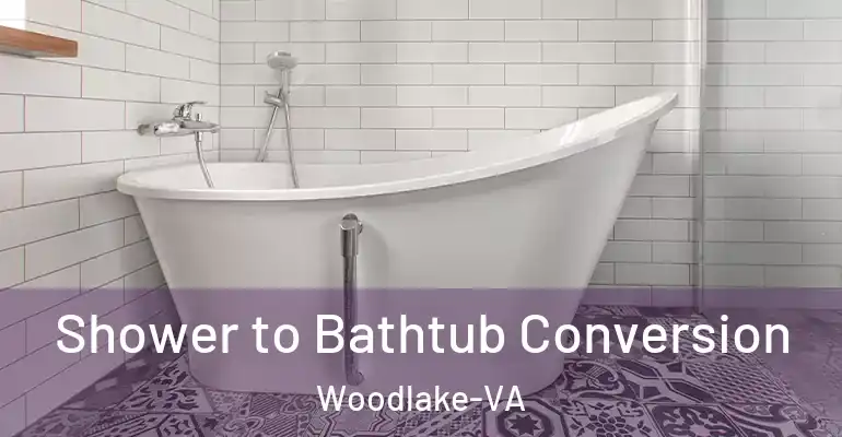 inner Bathroom imggen Shower to Bathtub Conversion Woodlake-VA
