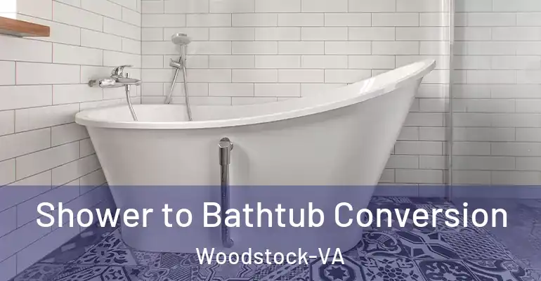 inner Bathroom imggen Shower to Bathtub Conversion Woodstock-VA