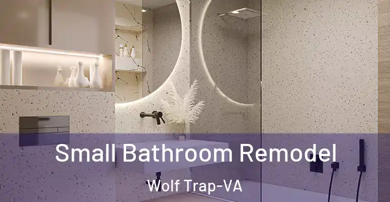 inner Bathroom imggen Small Bathroom Remodel Wolf Trap-VA