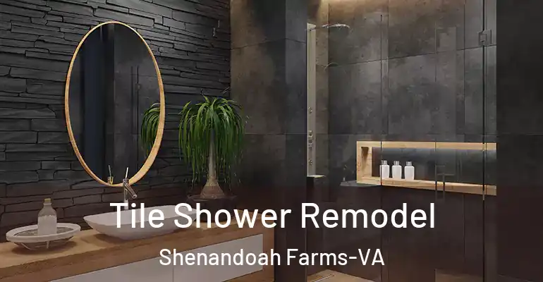 inner Bathroom imggen Tile Shower Remodel Shenandoah Farms-VA