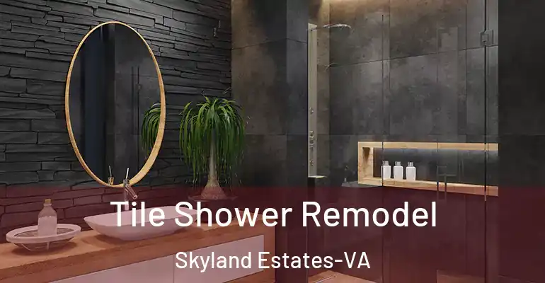 inner Bathroom imggen Tile Shower Remodel Skyland Estates-VA