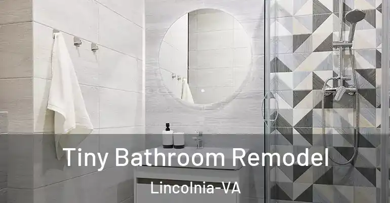 inner Bathroom imggen Tiny Bathroom Remodel Lincolnia-VA