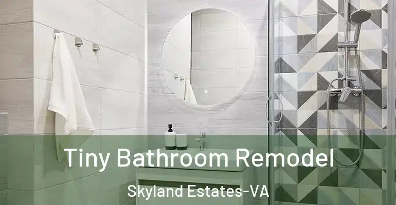 inner Bathroom imggen Tiny Bathroom Remodel Skyland Estates-VA