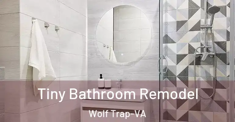 inner Bathroom imggen Tiny Bathroom Remodel Wolf Trap-VA