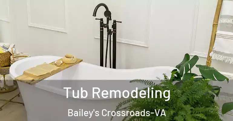 inner Bathroom imggen Tub Remodeling Bailey's Crossroads-VA