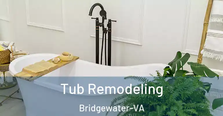 inner Bathroom imggen Tub Remodeling Bridgewater-VA