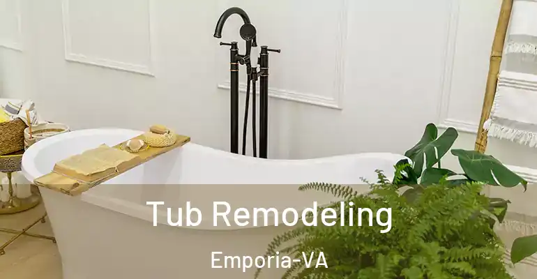 inner Bathroom imggen Tub Remodeling Emporia-VA