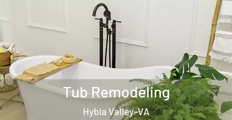 inner Bathroom imggen Tub Remodeling Hybla Valley-VA