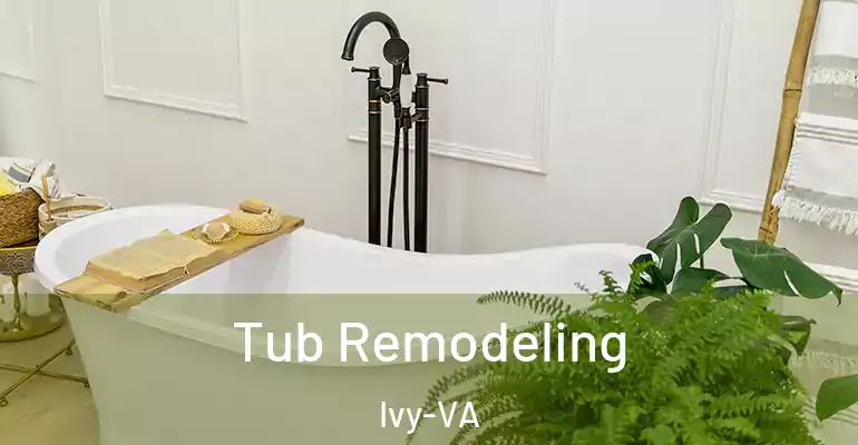 inner Bathroom imggen Tub Remodeling Ivy-VA