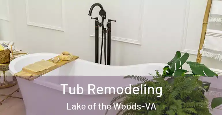inner Bathroom imggen Tub Remodeling Lake of the Woods-VA