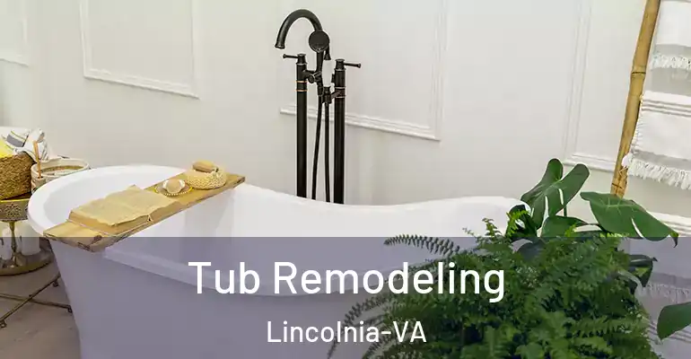 inner Bathroom imggen Tub Remodeling Lincolnia-VA