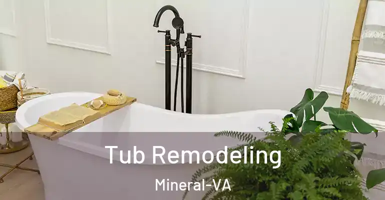 inner Bathroom imggen Tub Remodeling Mineral-VA