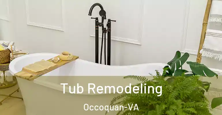 inner Bathroom imggen Tub Remodeling Occoquan-VA