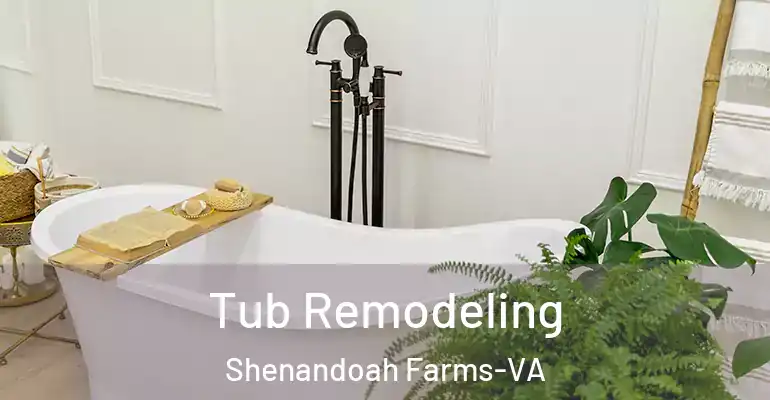 inner Bathroom imggen Tub Remodeling Shenandoah Farms-VA