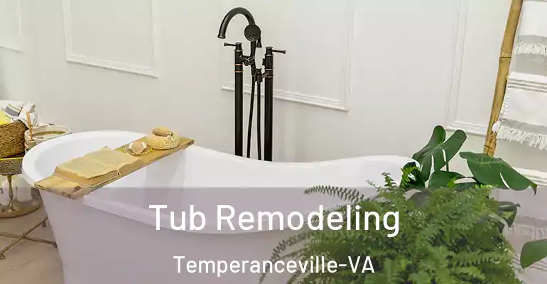 inner Bathroom imggen Tub Remodeling Temperanceville-VA