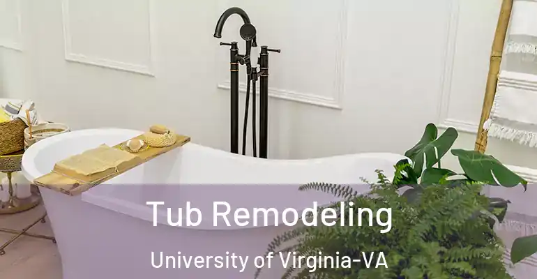 inner Bathroom imggen Tub Remodeling University of Virginia-VA