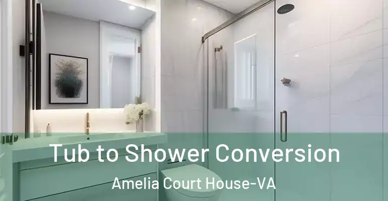 inner Bathroom imggen Tub to Shower Conversion Amelia Court House-VA