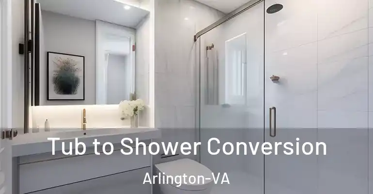inner Bathroom imggen Tub to Shower Conversion Arlington-VA