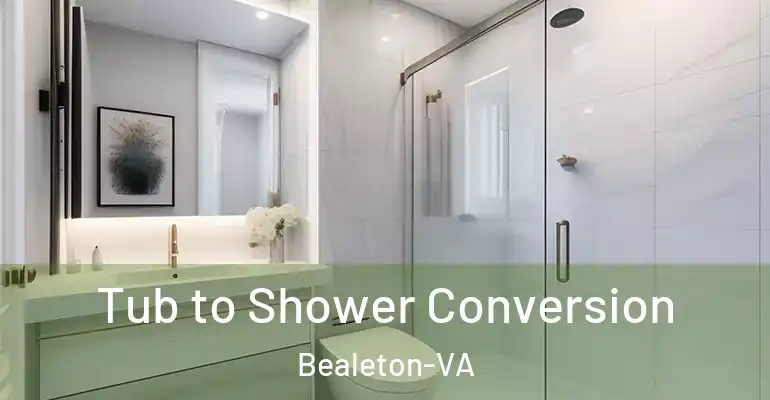 inner Bathroom imggen Tub to Shower Conversion Bealeton-VA