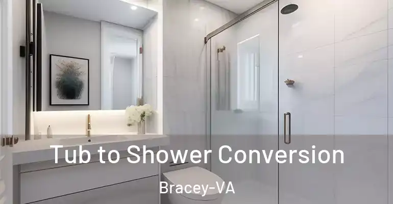 inner Bathroom imggen Tub to Shower Conversion Bracey-VA