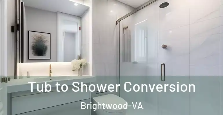 inner Bathroom imggen Tub to Shower Conversion Brightwood-VA