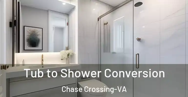 inner Bathroom imggen Tub to Shower Conversion Chase Crossing-VA