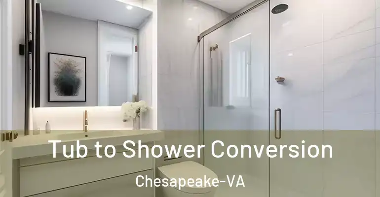 inner Bathroom imggen Tub to Shower Conversion Chesapeake-VA