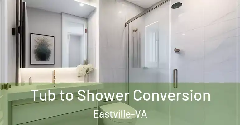 inner Bathroom imggen Tub to Shower Conversion Eastville-VA