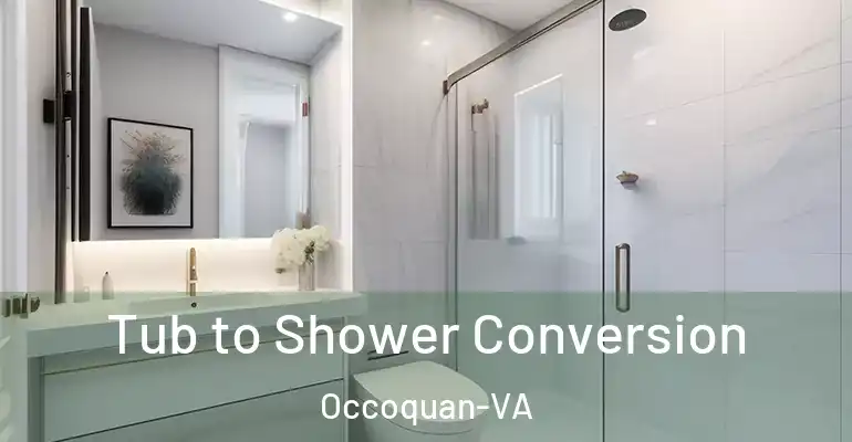 inner Bathroom imggen Tub to Shower Conversion Occoquan-VA