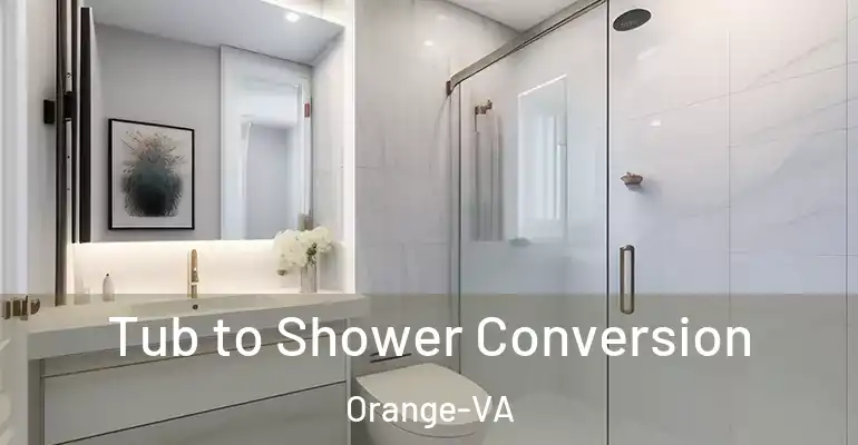 inner Bathroom imggen Tub to Shower Conversion Orange-VA