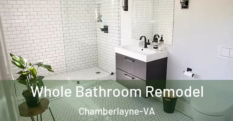 inner Bathroom imggen Whole Bathroom Remodel Chamberlayne-VA