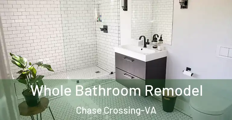 inner Bathroom imggen Whole Bathroom Remodel Chase Crossing-VA